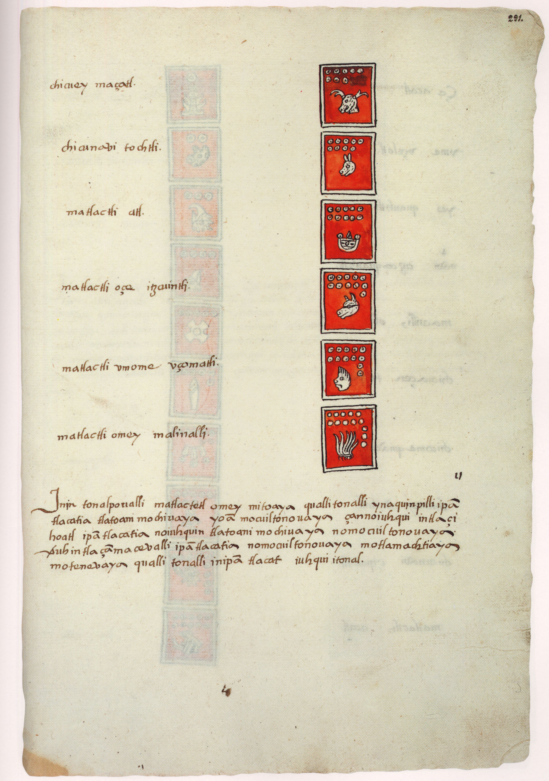 Matritense P I 291r, tonalpohualli