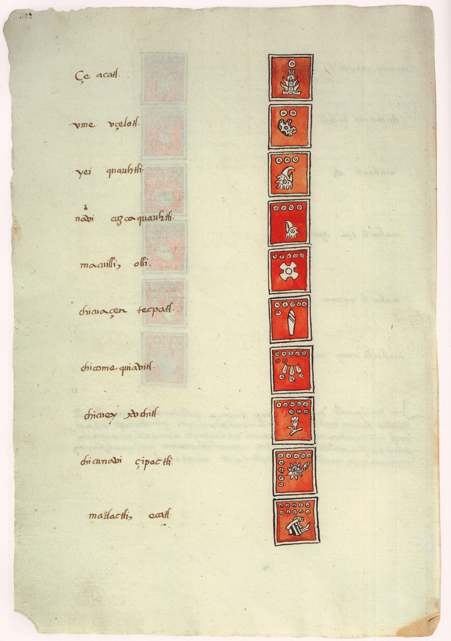 Matritense P I 291v, tonalpohualli