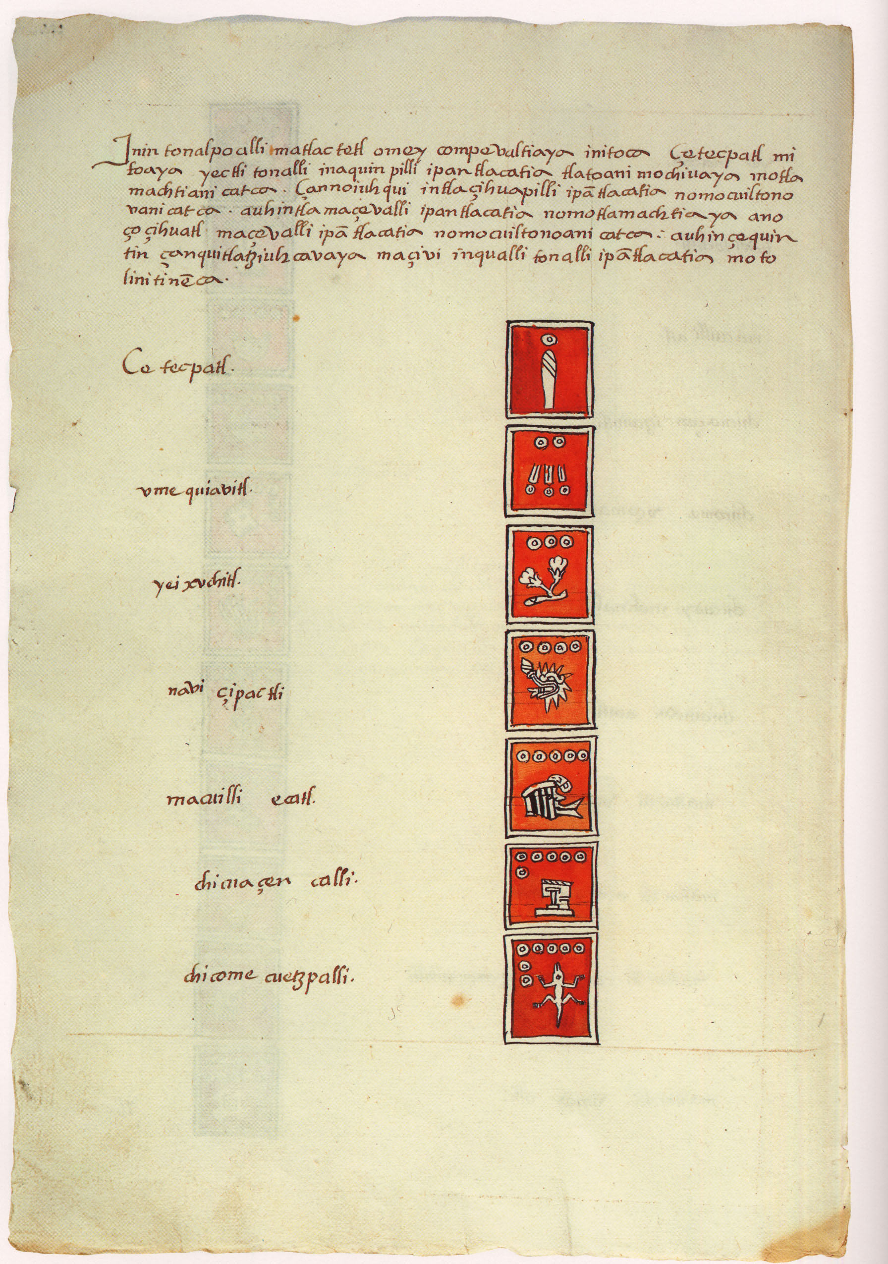 Matritense P I 295v, tonalpohualli