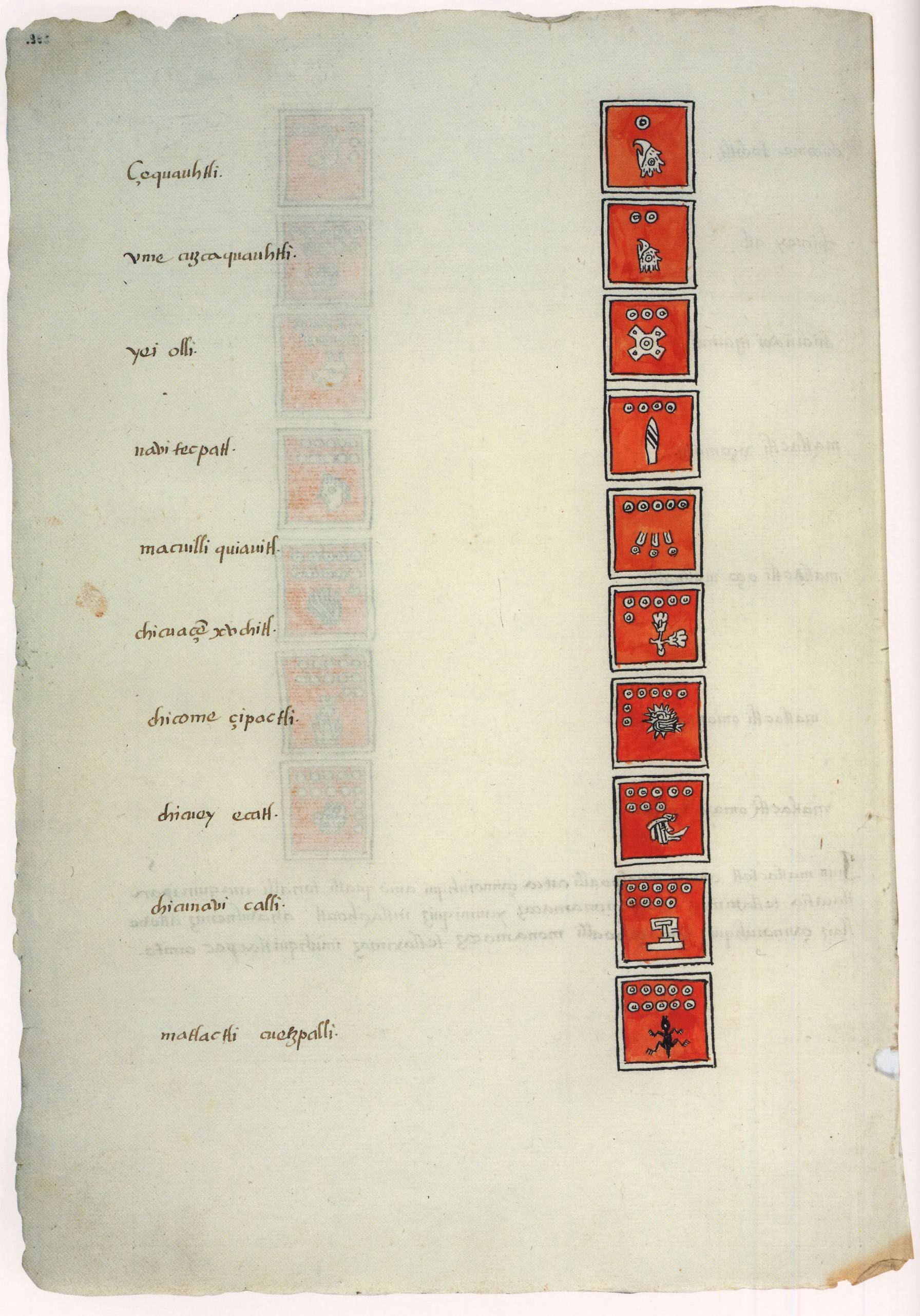 Matritense P I 298v, tonalpohualli