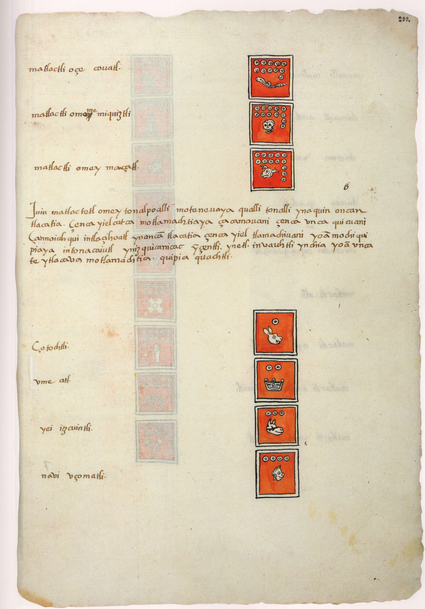 Matritense P I 299r, tonalpohualli