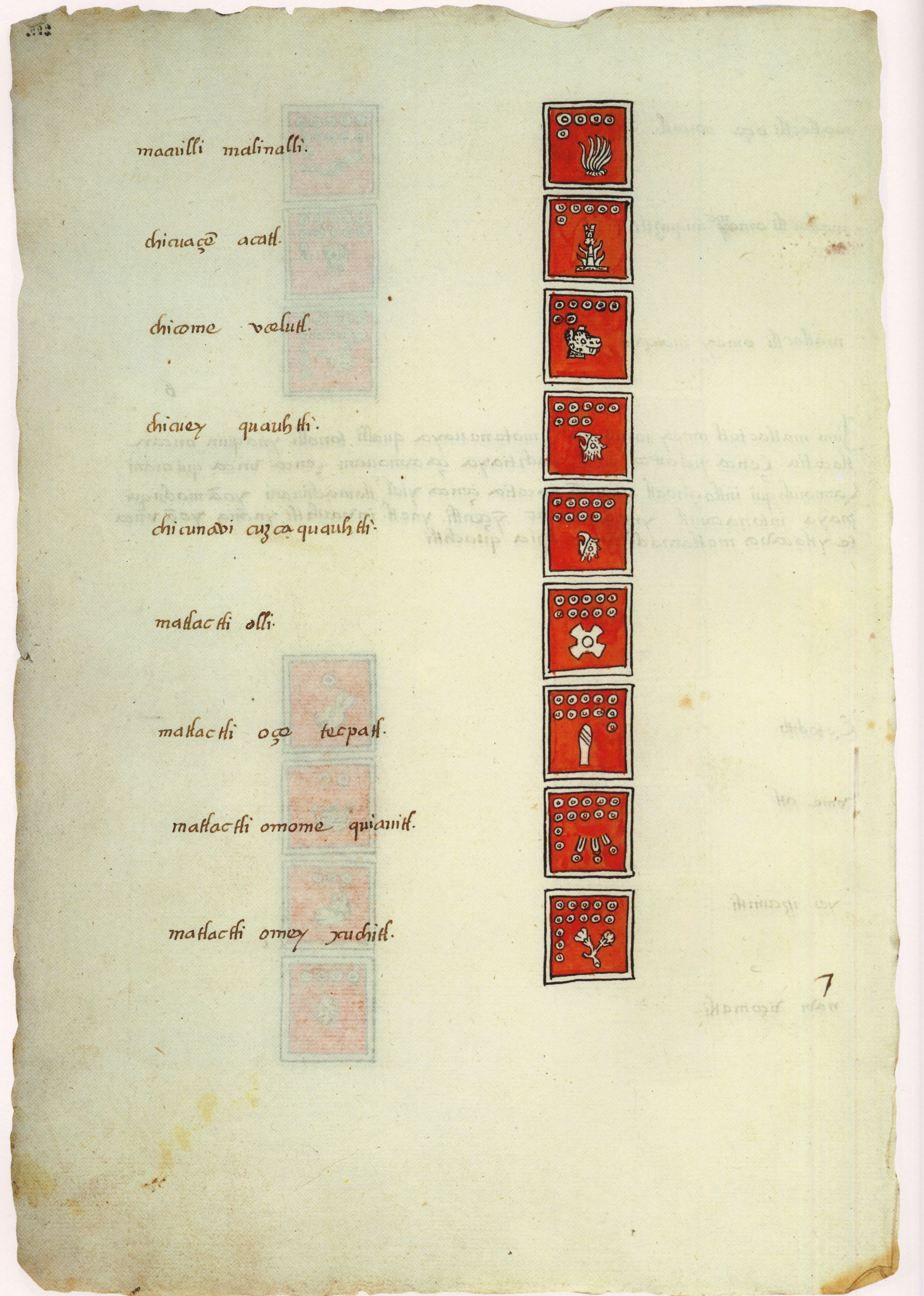 Matritense P I 299v, tonalpohualli