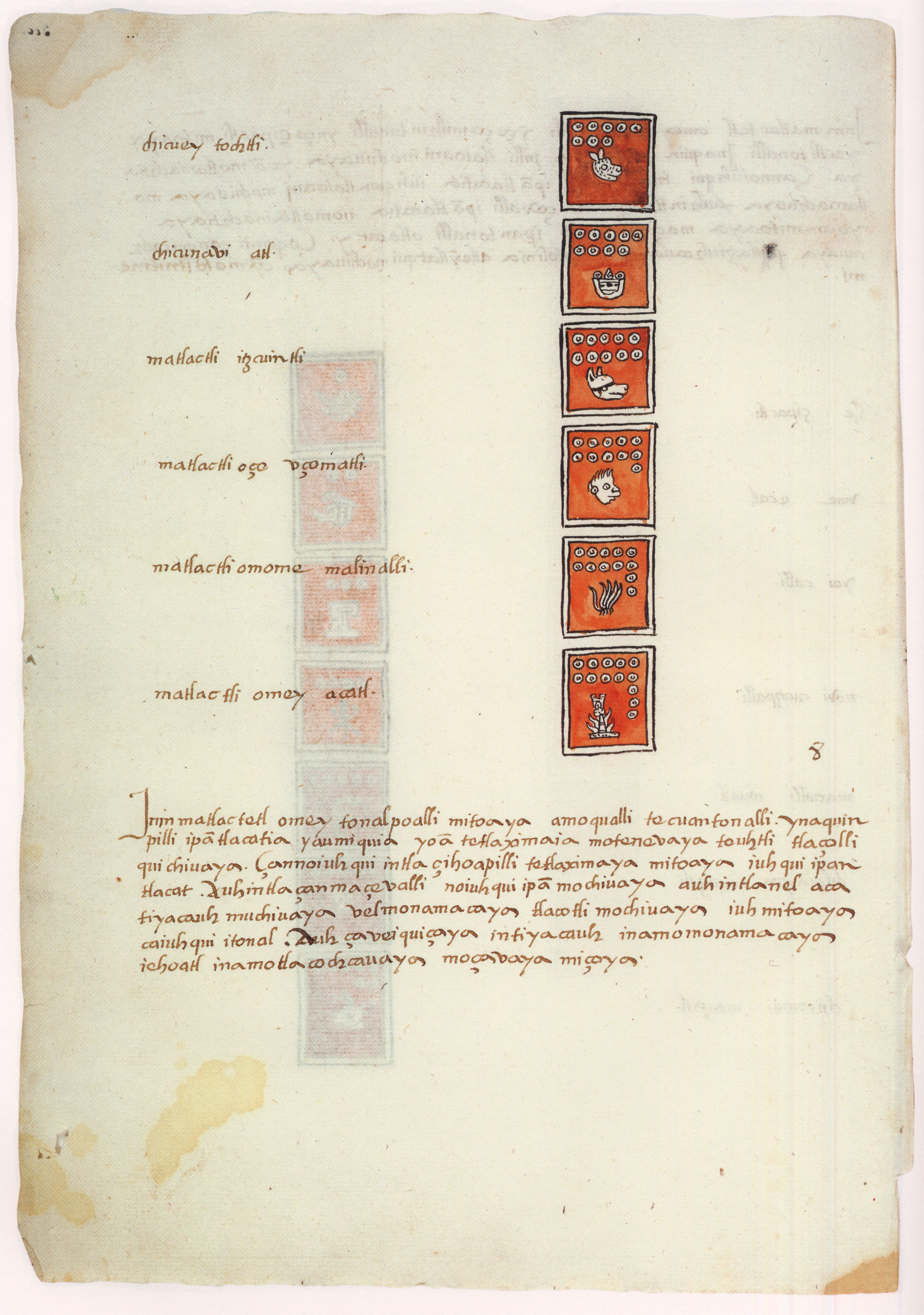 Matritense P I 300v, tonalpohualli