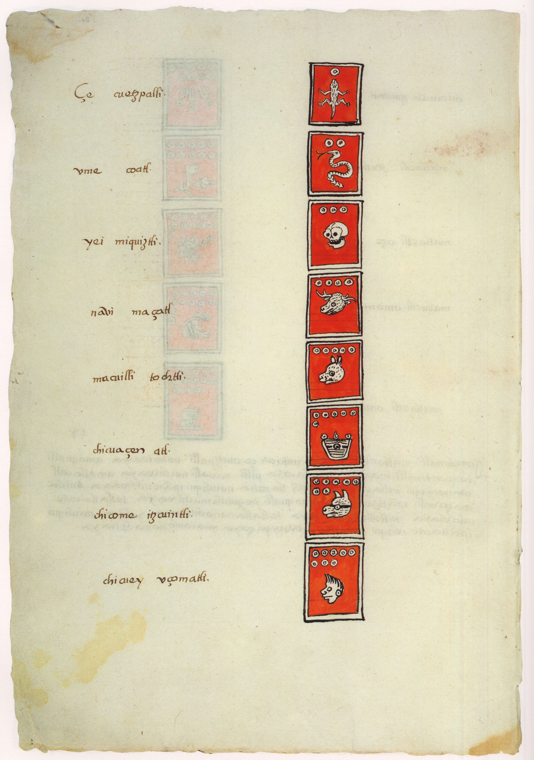 Matritense P I 301v, tonalpohualli
