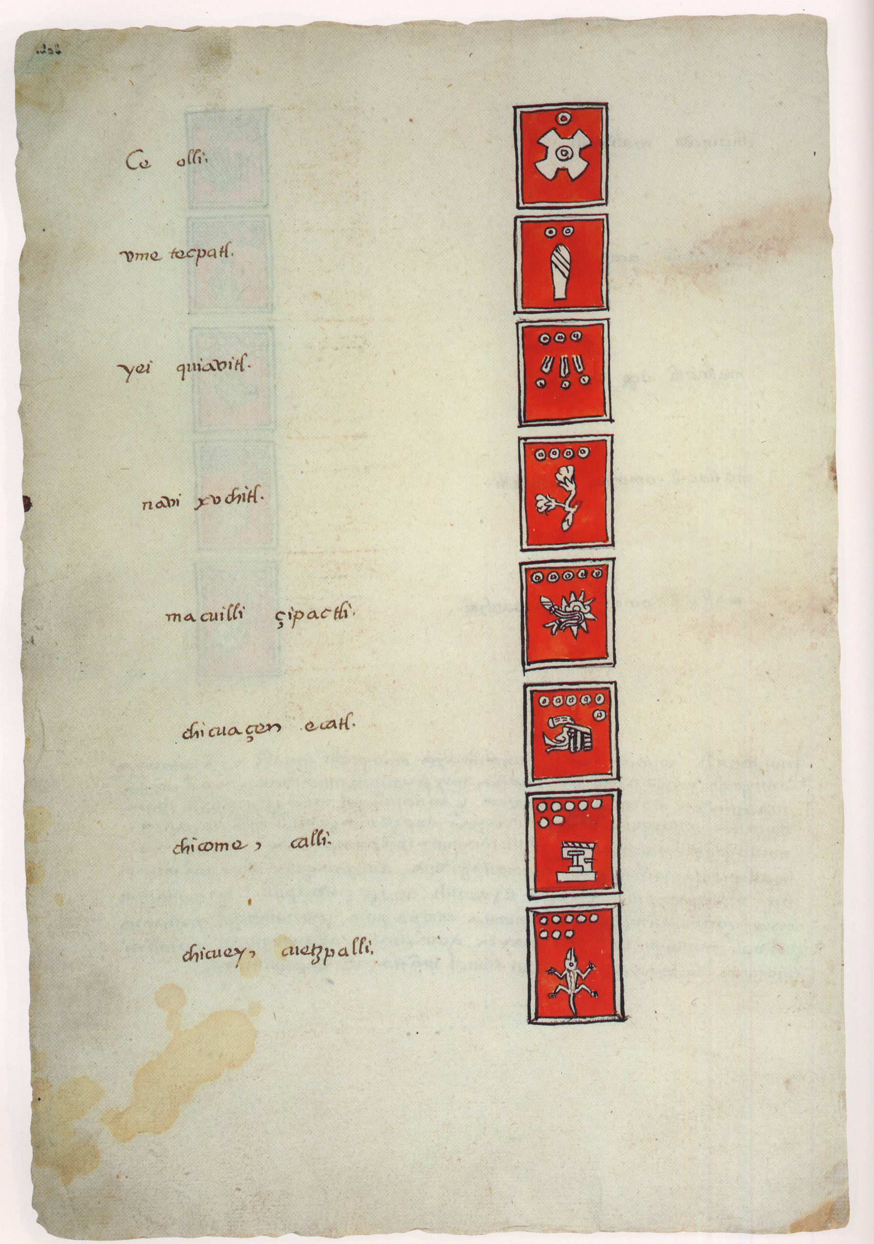 Matritense P I 302v, tonalpohualli
