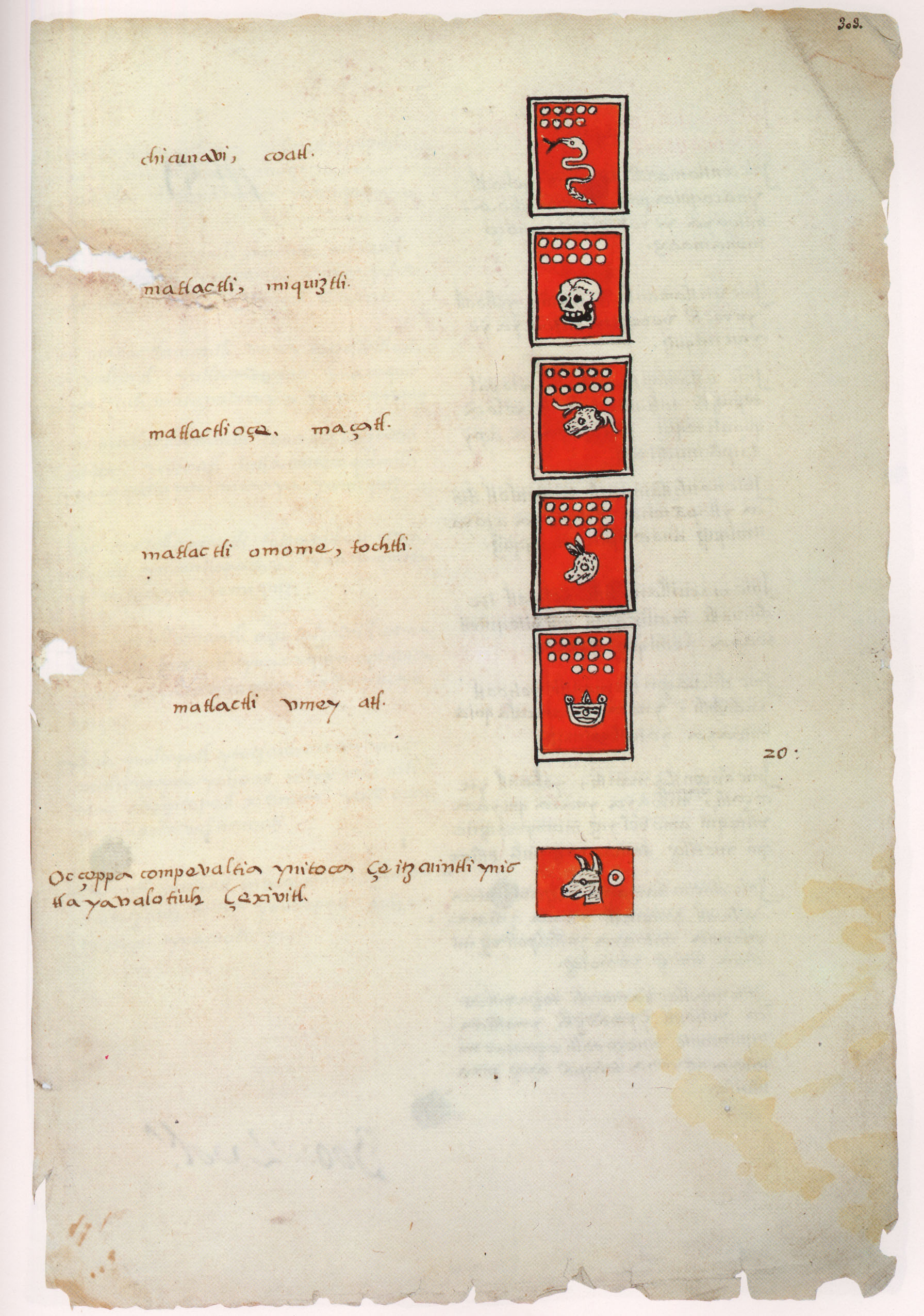 Matritense P I 303r, tonalpohualli