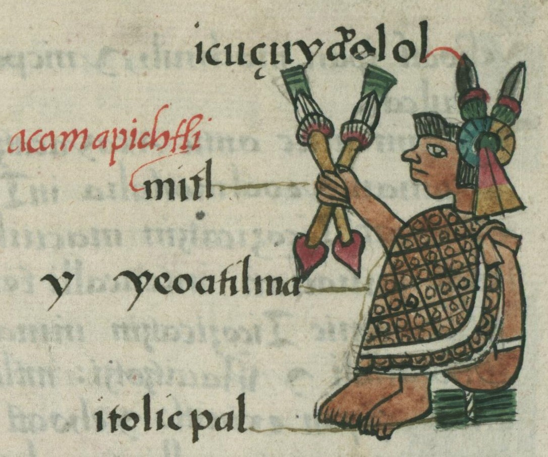 Matritense R I 51r, Acamapichtli