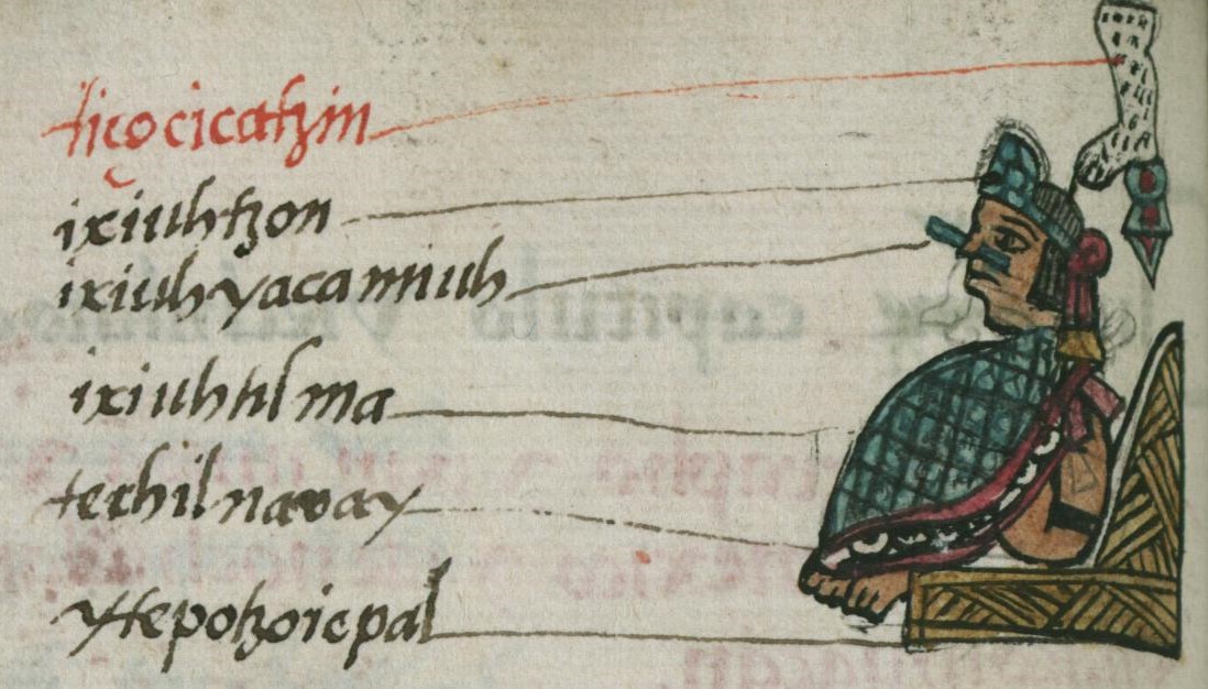 Matritense R I 51v, Tizoc
