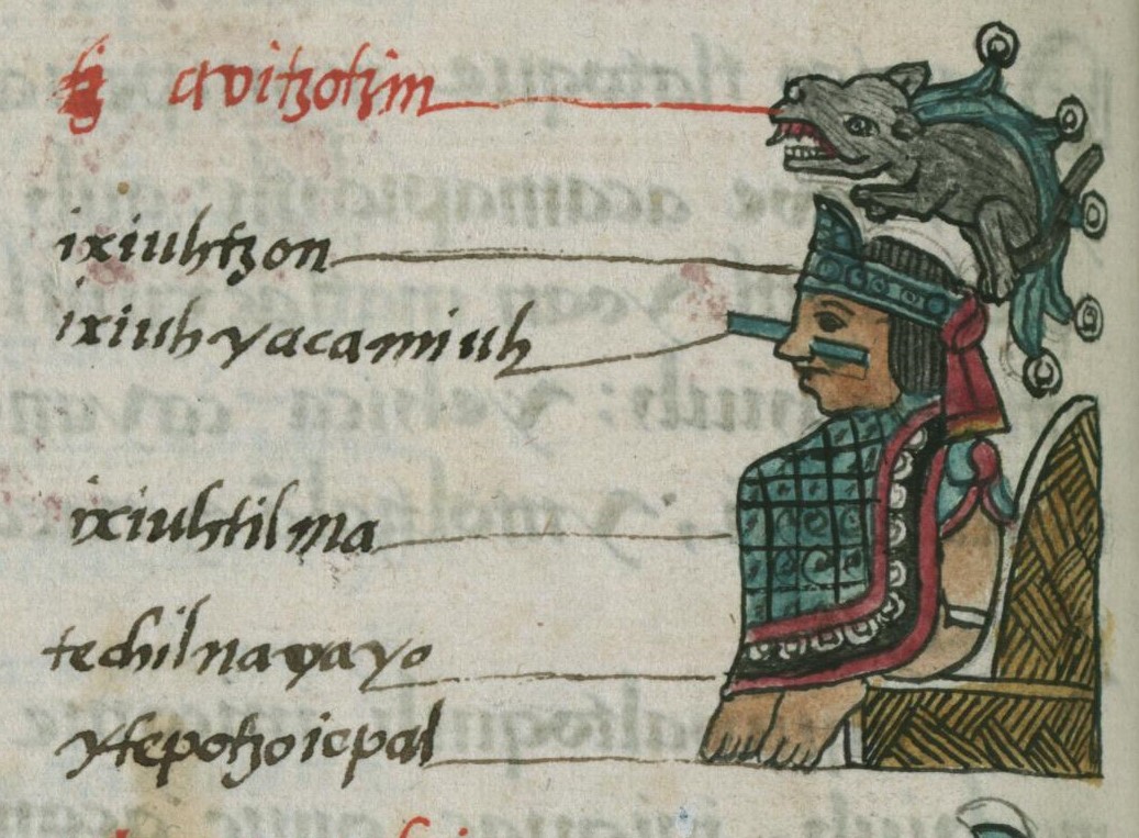 Matritense R I 51v, Ahuitzotl