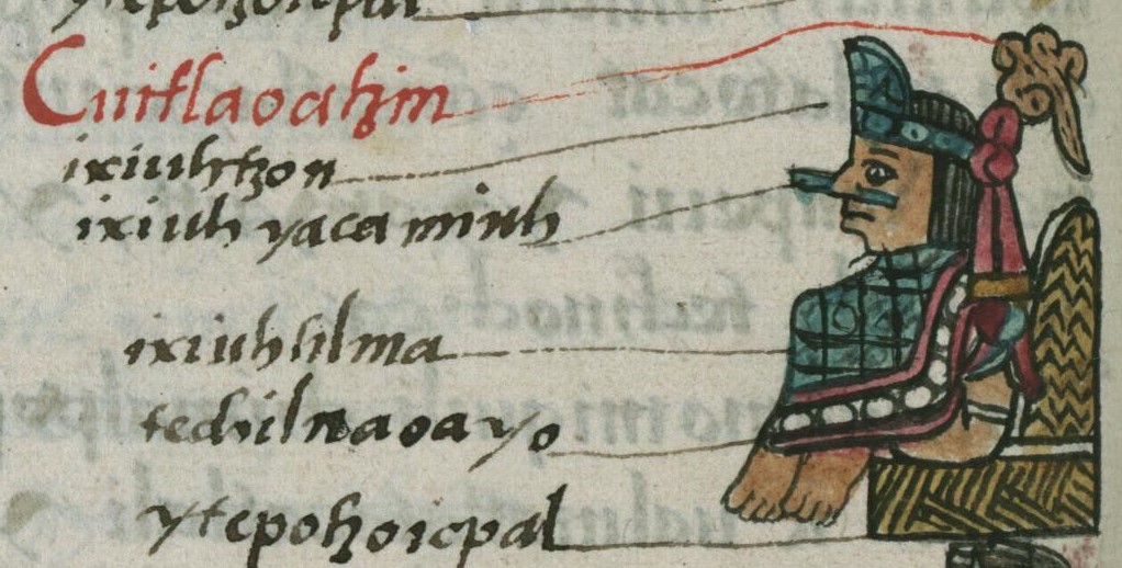 Matritense R I 51v, Cuitlahuatzin