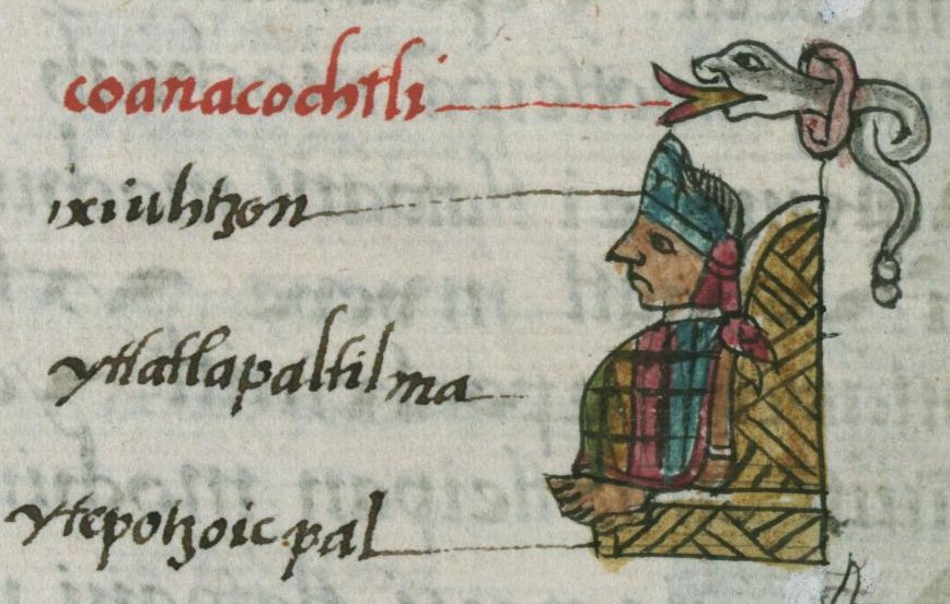 Matritense R I 52v, Cohuanacochtzin