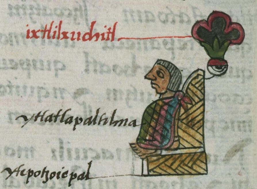 Matritense R I 52v, Ixtlilxochitl