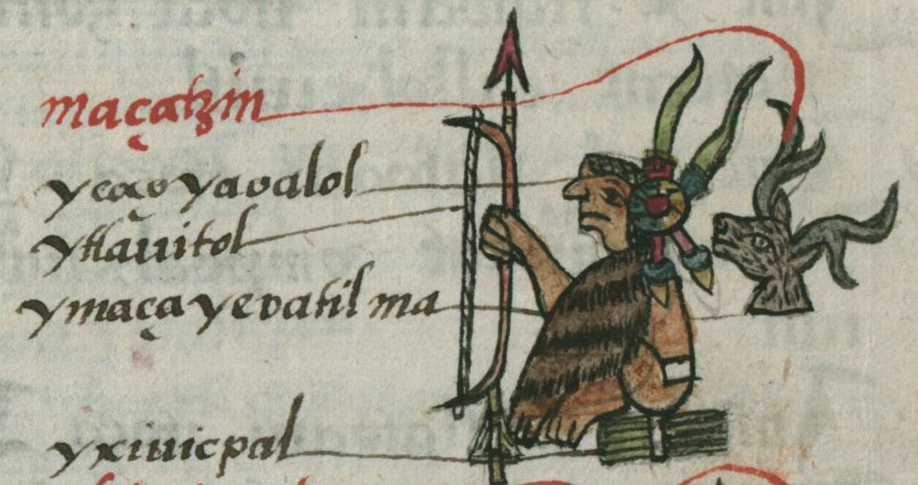 Matritense R I 53r, Mazatzin, Acolhuacatl, Chichimecatl, Teuctli