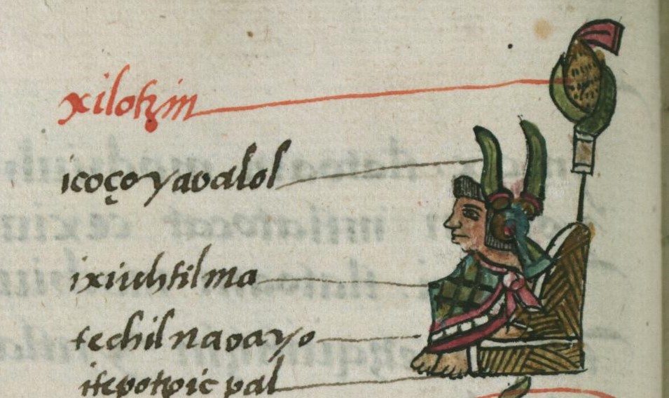 Matritense R I 53v, Xilotzin, teuctli