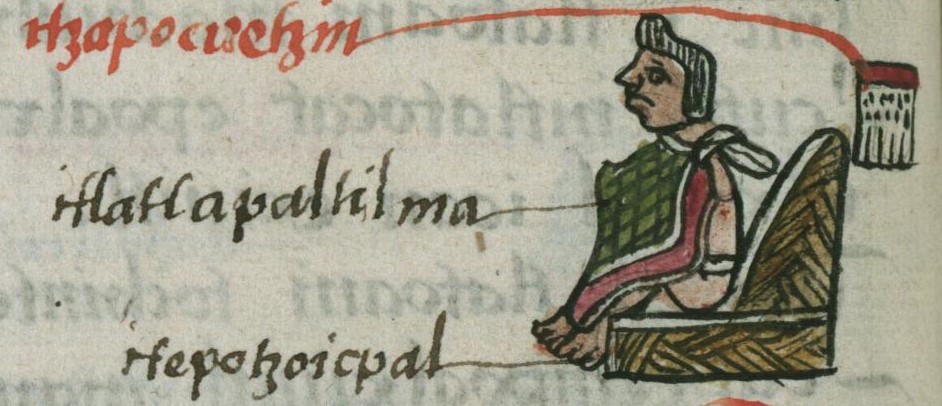 Matritense R I 53v, Tzapocuetzin