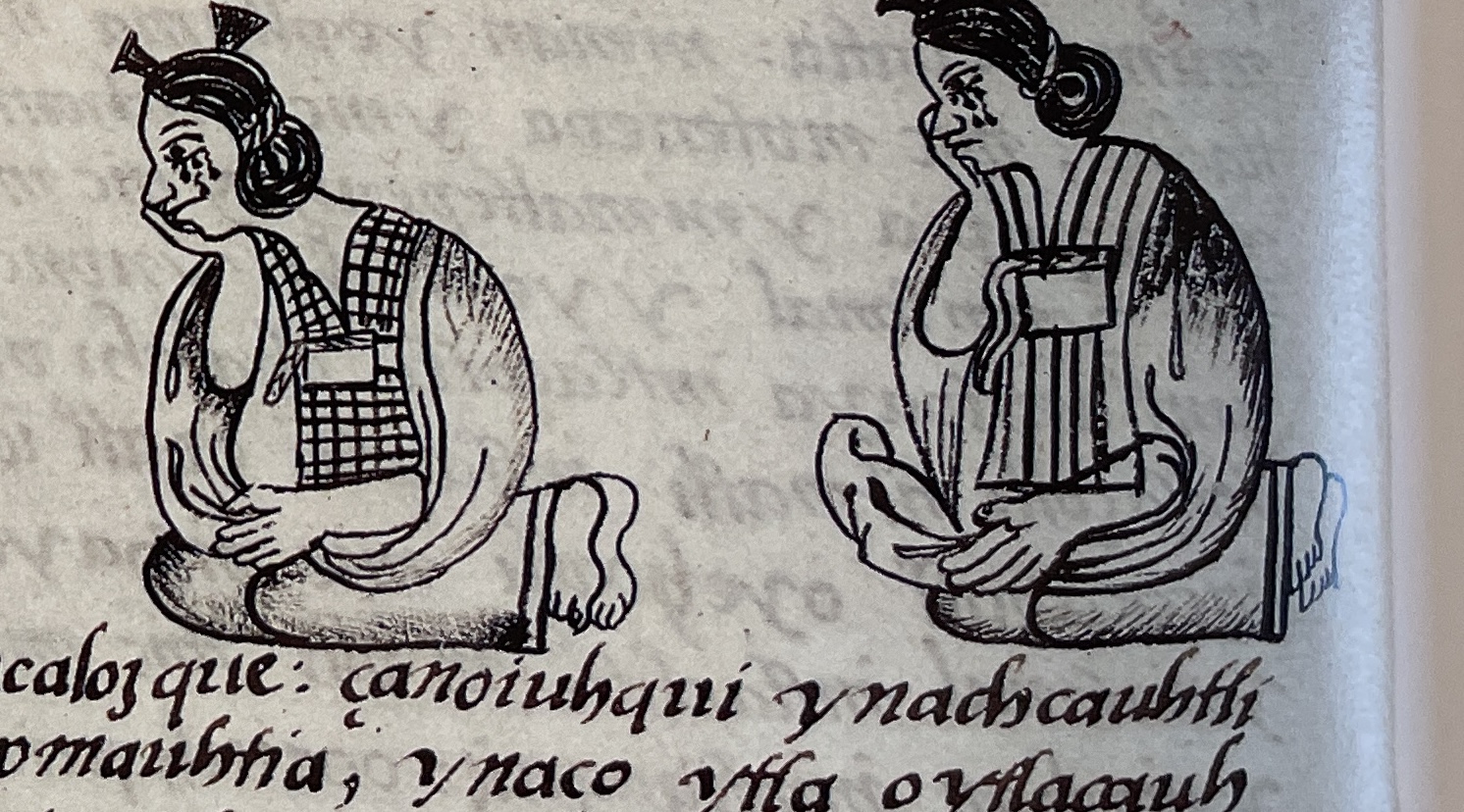 Matritense R I 61v