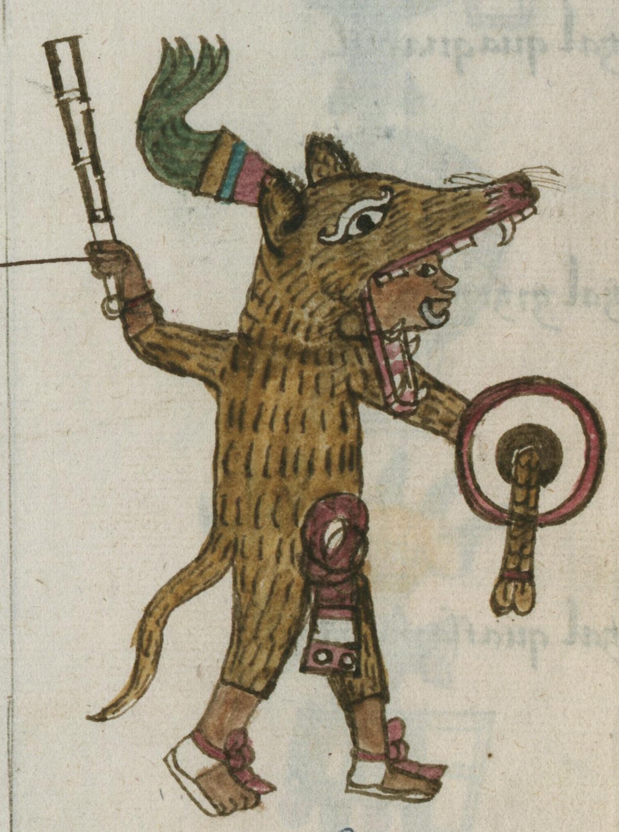 Matritense R I 73r, tlacatl