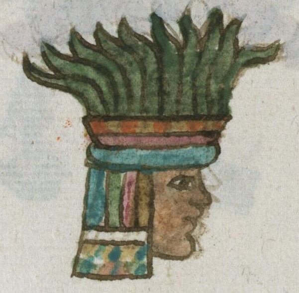 Matritense R I 73v, quetzalcuatlamoyahualli