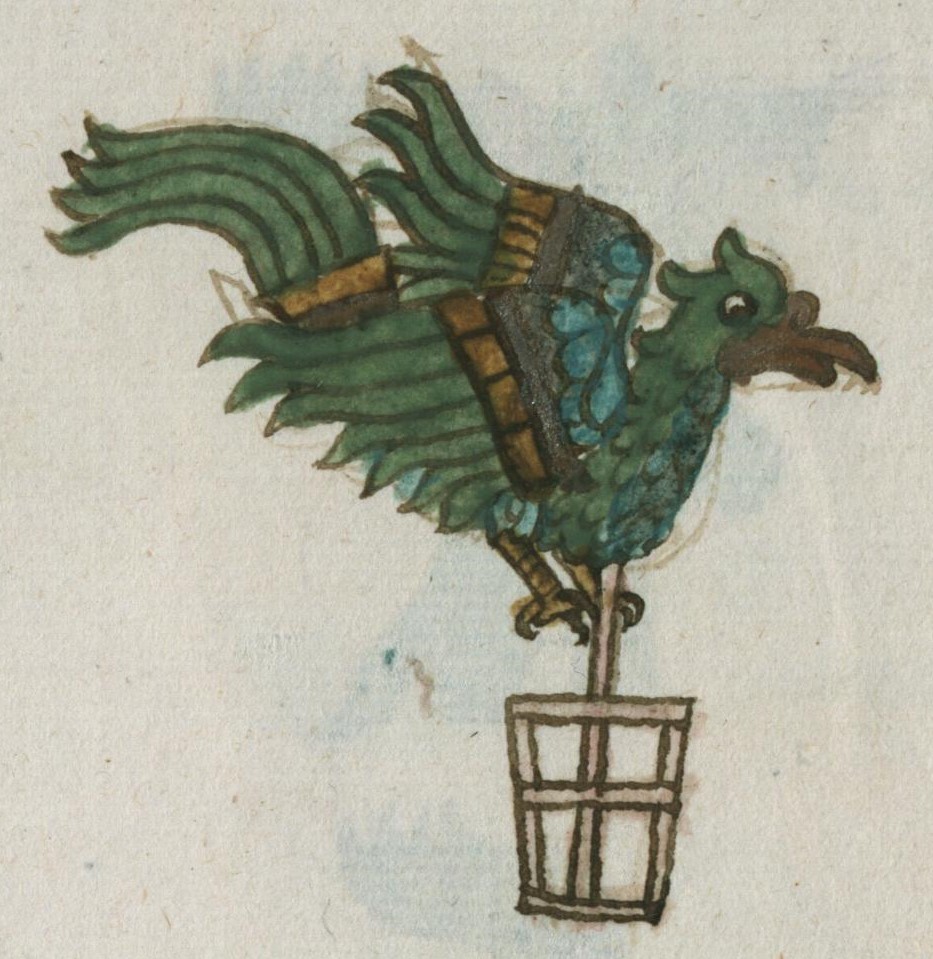 Matritense R I 74r, quetzaltototl
