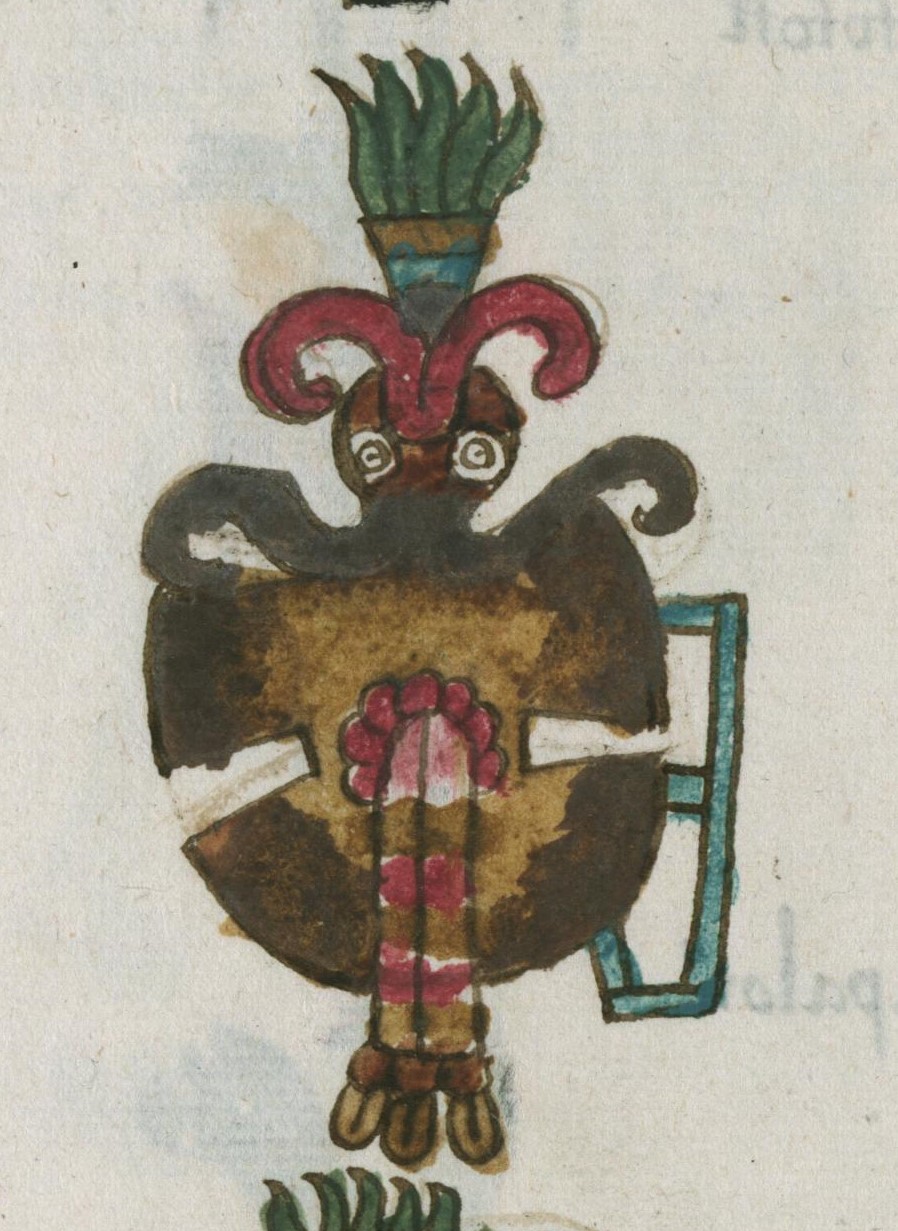 Matritense R I 74v, zacuanpapalotl