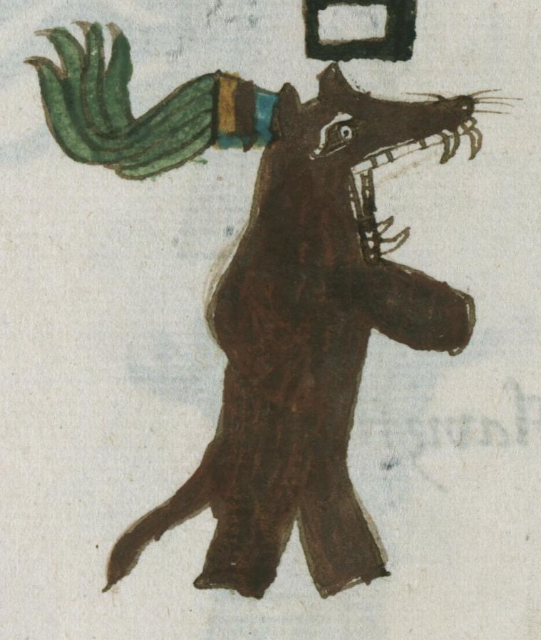Matritense R I 74v, chamolcoyotl
