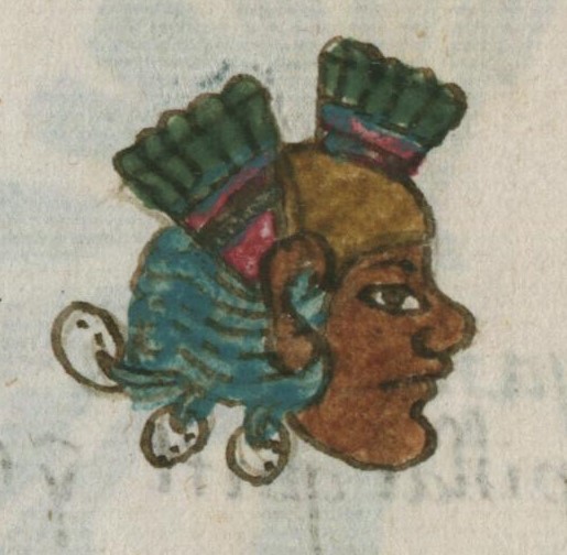 Matritense R I 75r, ananacaztli
