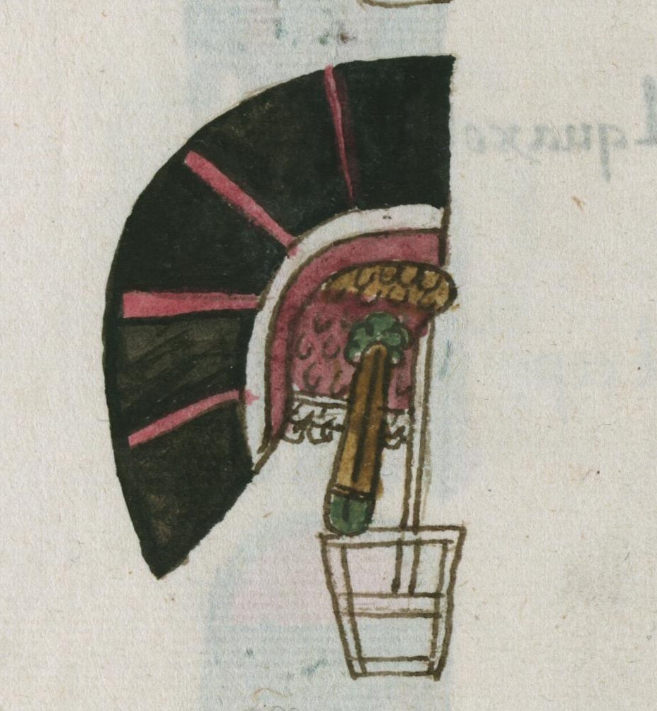 Matritense R I 76v, cacalpatzactli