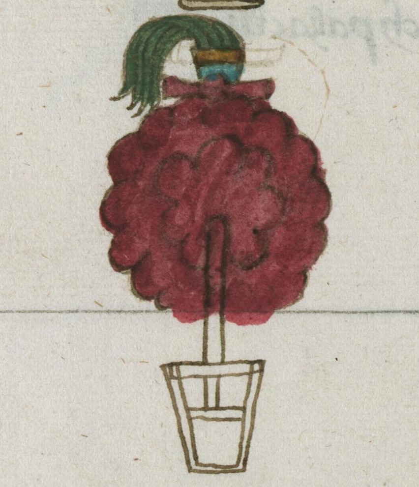 Matritense R I 76v, tlapalihuitelolotli