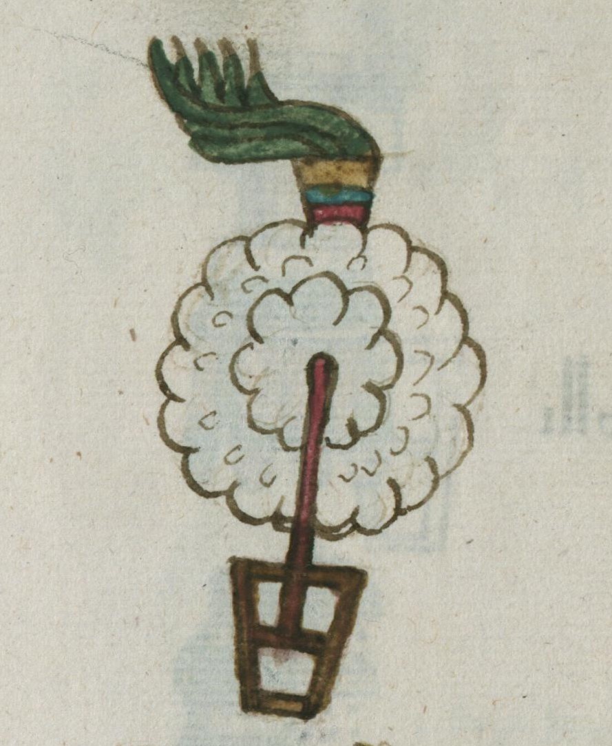 Matritense R I 77r, iztac ihuitelolotli