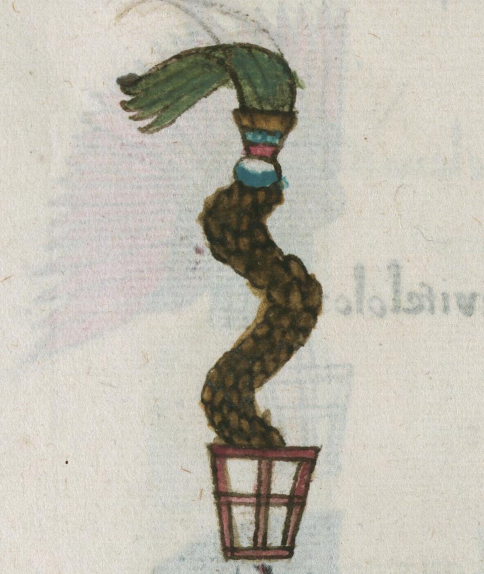 Matritense R I 77v, tozcocolli