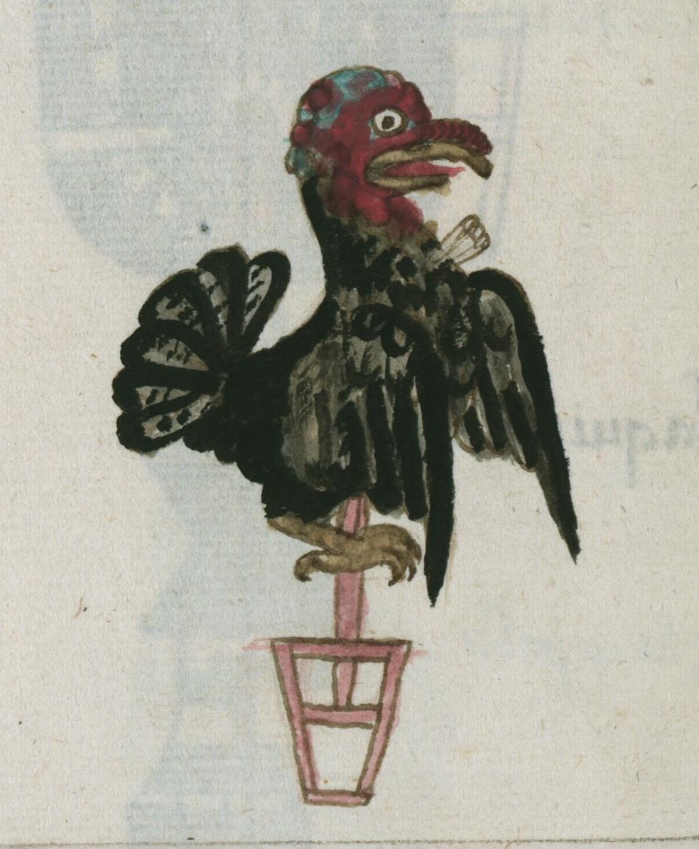 Matritense R I 78v, huexolotl