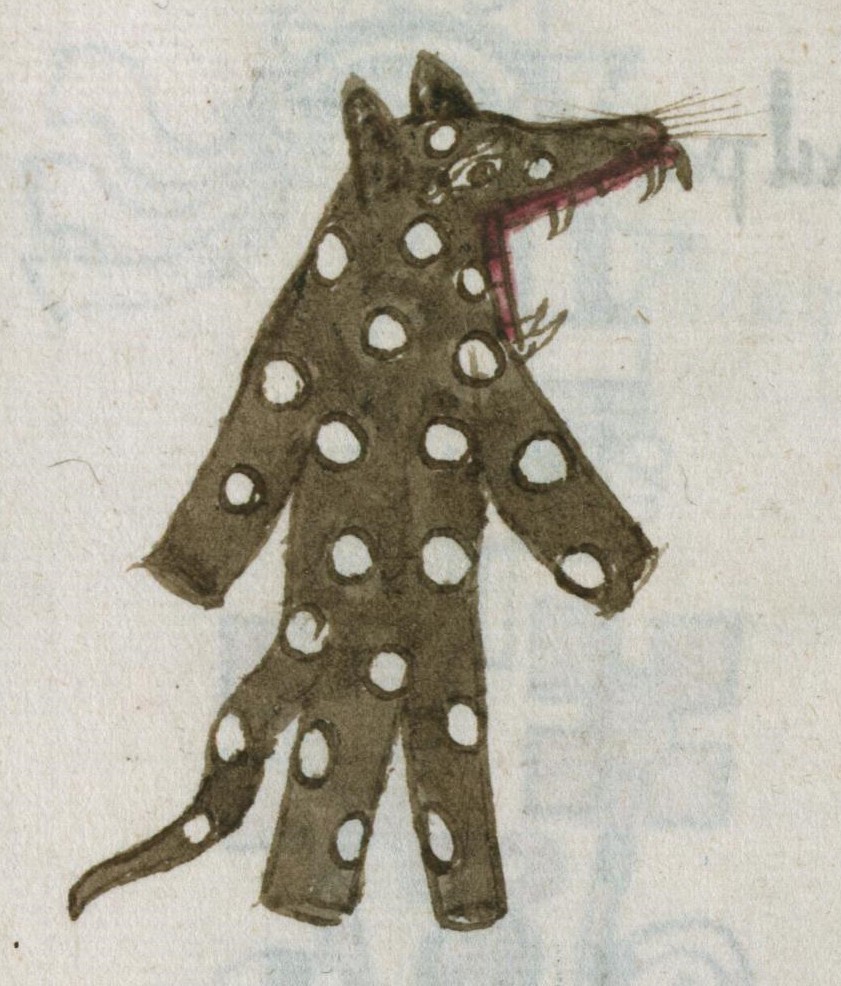 Matritense R I 79v, citlalcoyotl