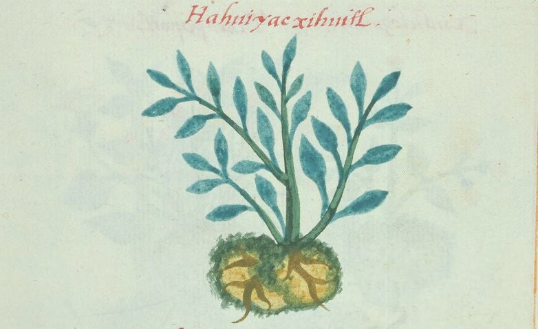 Cruz-B... XI 58r, ahuiyac xihuitl