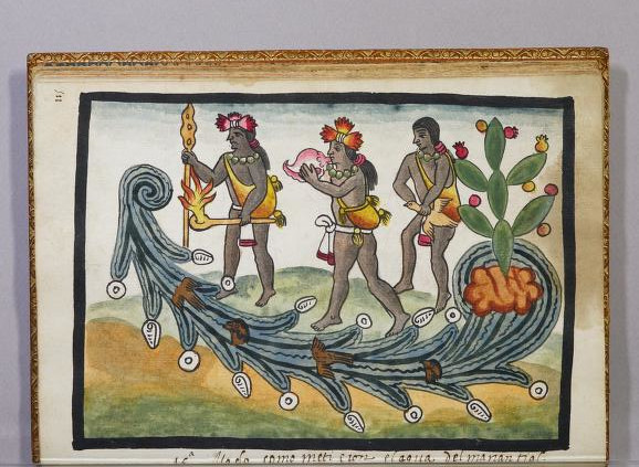 Tovar I 229r, Tenochtitlan, Ameyalco