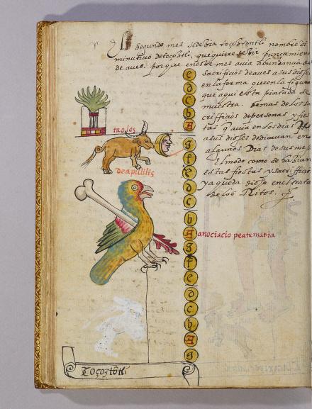 Tovar I 295r, Tozoztontli