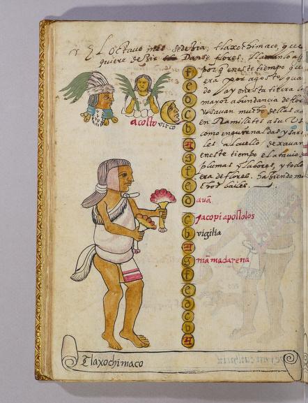 Tovar I 301r, Tlaxochimaco
