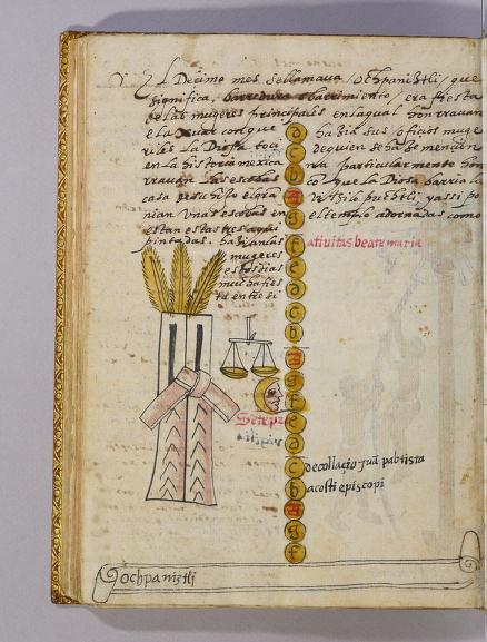 Tovar I 303r, Ochpaniztli