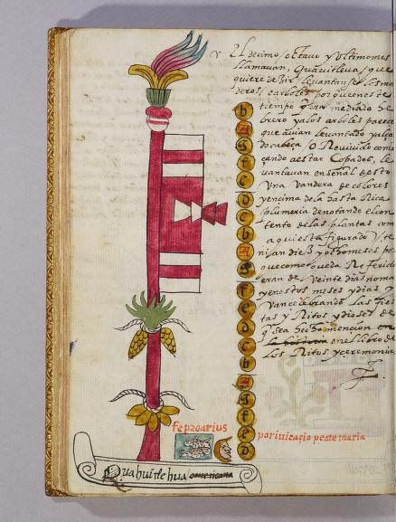 Tovar I 313r, Cuahuitl ehua, Atlcahualo